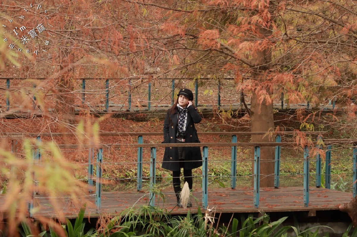 長庚養生文化村落羽松公園｜桃園龜山免費秘境，湖畔木棧道、夢幻倒影秒入童話仙境