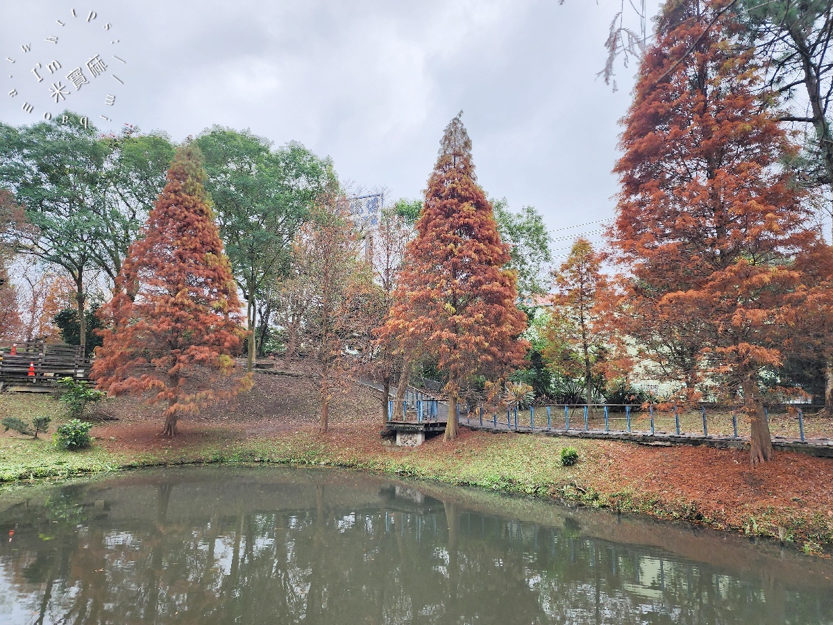 長庚養生文化村落羽松公園|桃園龜山免費秘境,湖畔木棧道、夢幻倒影秒入童話仙境 長庚養生文化村落羽松公園|桃園龜山免費秘境,湖畔木棧道、夢幻倒影秒入童話仙境