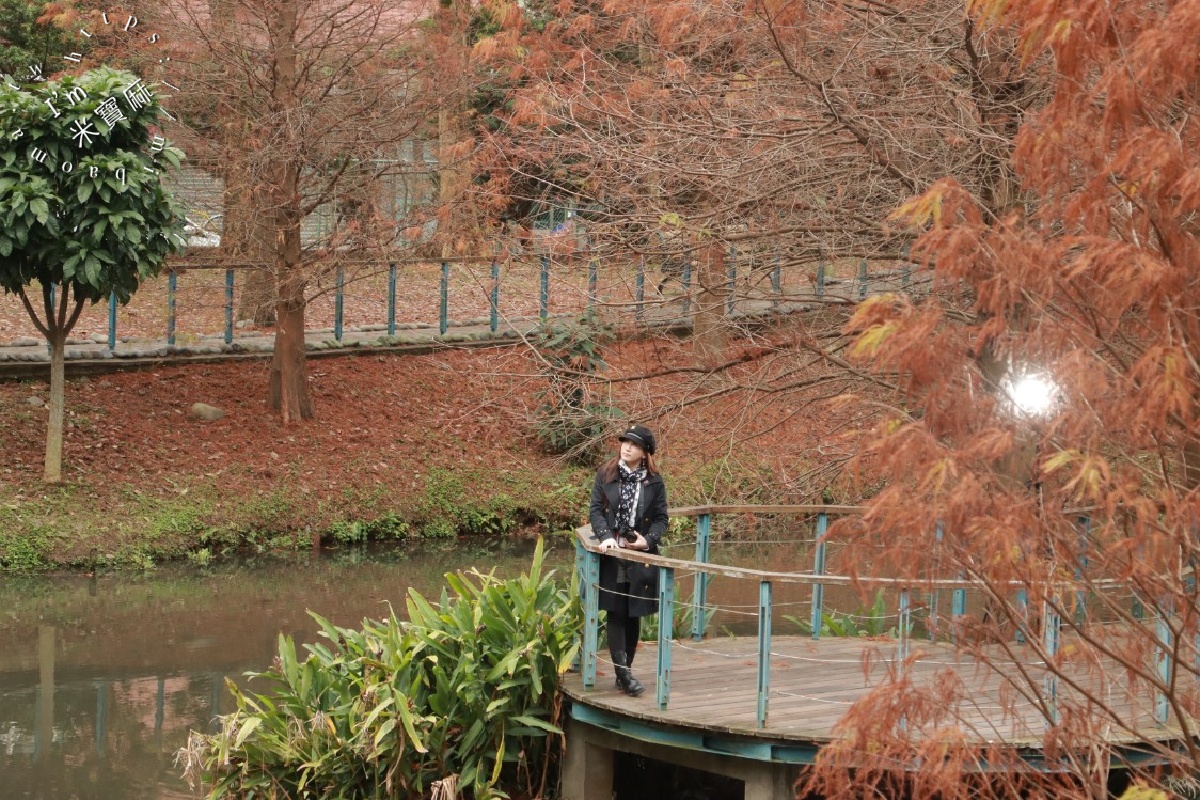網站近期文章：長庚養生文化村落羽松公園｜桃園龜山免費秘境，湖畔木棧道、夢幻倒影秒入童話仙境