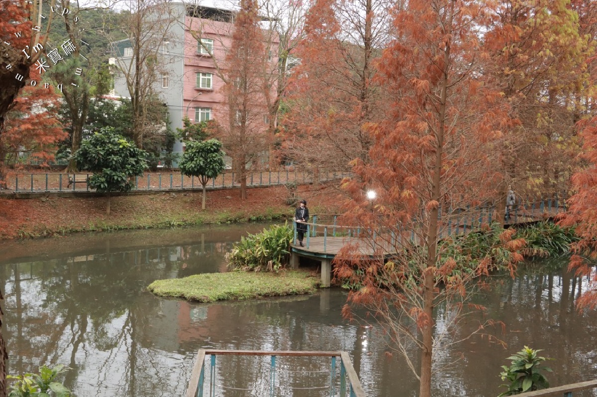 長庚養生文化村落羽松公園|桃園龜山免費秘境,湖畔木棧道、夢幻倒影秒入童話仙境 長庚養生文化村落羽松公園|桃園龜山免費秘境,湖畔木棧道、夢幻倒影秒入童話仙境