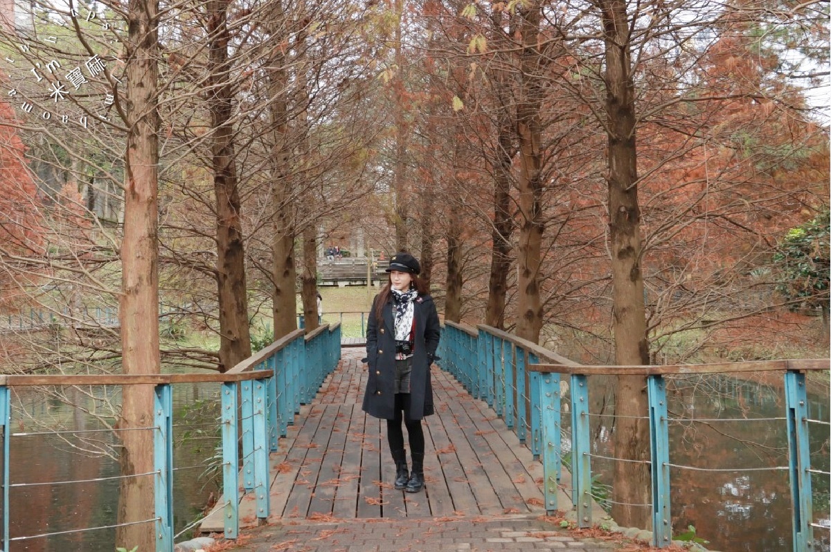長庚養生文化村落羽松公園|桃園龜山免費秘境,湖畔木棧道、夢幻倒影秒入童話仙境 長庚養生文化村落羽松公園|桃園龜山免費秘境,湖畔木棧道、夢幻倒影秒入童話仙境