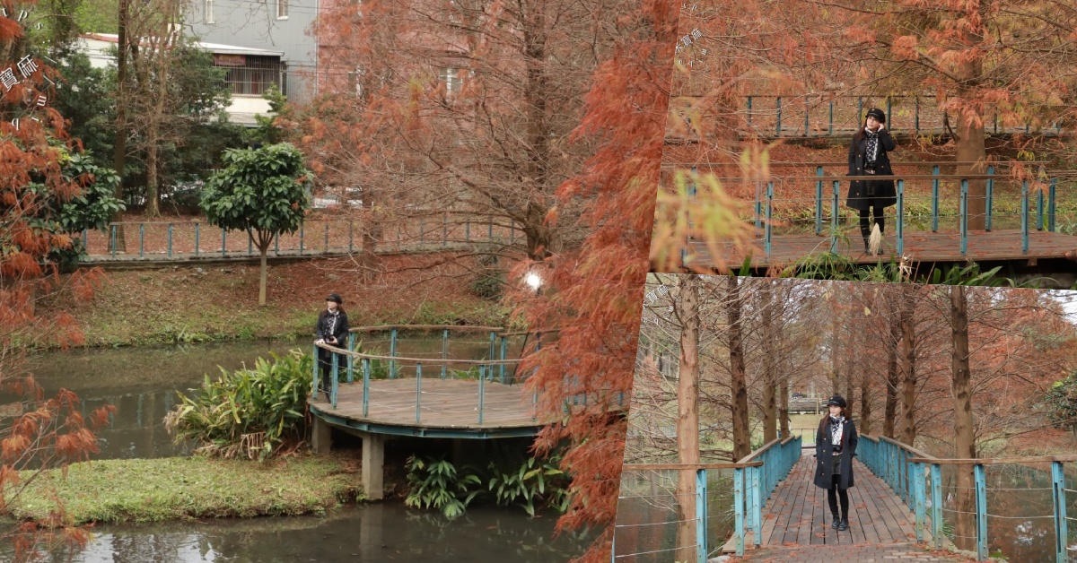 長庚養生文化村落羽松公園|桃園龜山免費秘境,湖畔木棧道、夢幻倒影秒入童話仙境 長庚養生文化村落羽松公園|桃園龜山免費秘境,湖畔木棧道、夢幻倒影秒入童話仙境