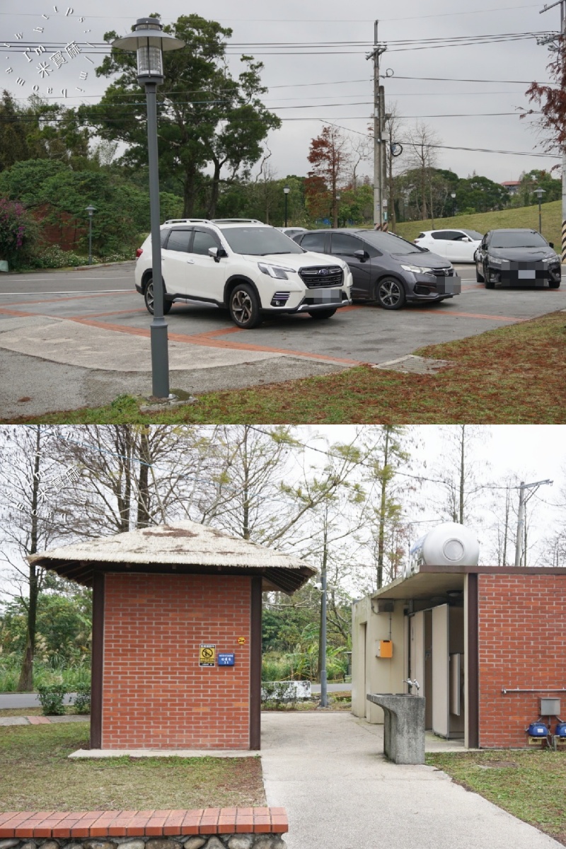 桃園落羽松大道|1公里300棵絕美秘境,美到直接改路名! 桃園落羽松大道|1公里300棵絕美秘境,美到直接改路名!