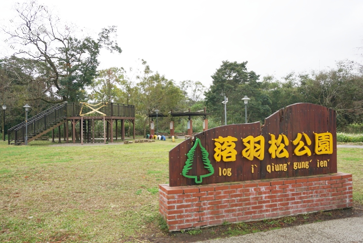 桃園落羽松大道｜1公里300棵絕美秘境，美到直接改路名！