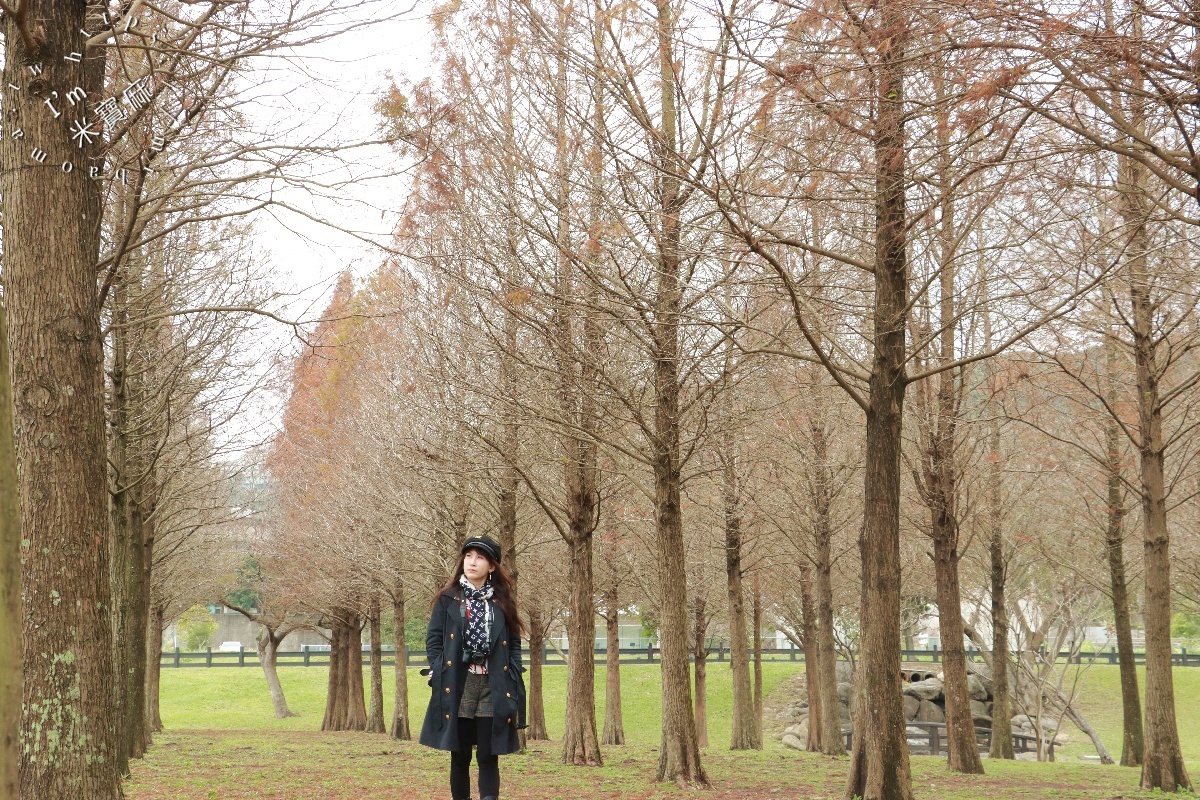 大溪河濱公園｜桃園親子野餐秘境，輕鬆拍出電影級夢幻美照！