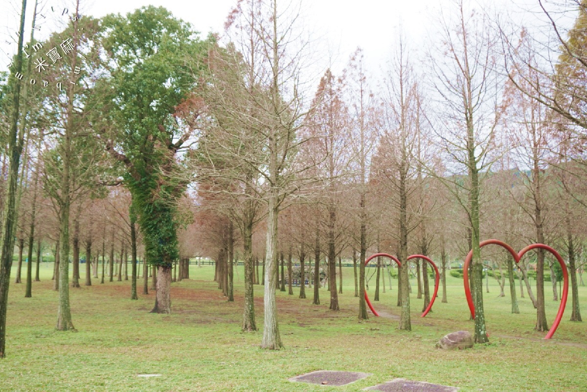 大溪河濱公園｜桃園親子野餐秘境，輕鬆拍出電影級夢幻美照！