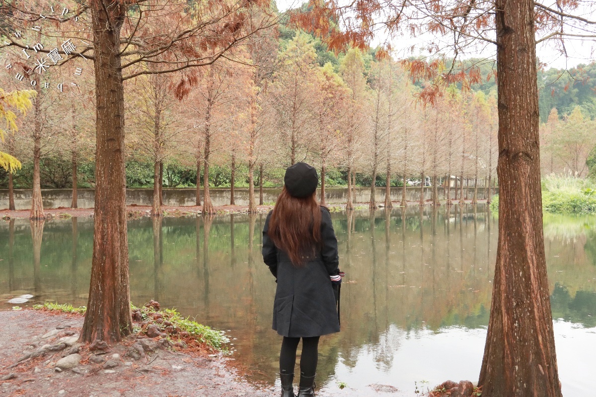 月眉人工濕地落羽松大道｜水岸秘境、親子友善步道，怎麼拍都是絕美明信片！