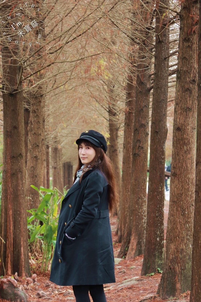 月眉人工濕地落羽松大道｜水岸秘境、親子友善步道，怎麼拍都是絕美明信片！