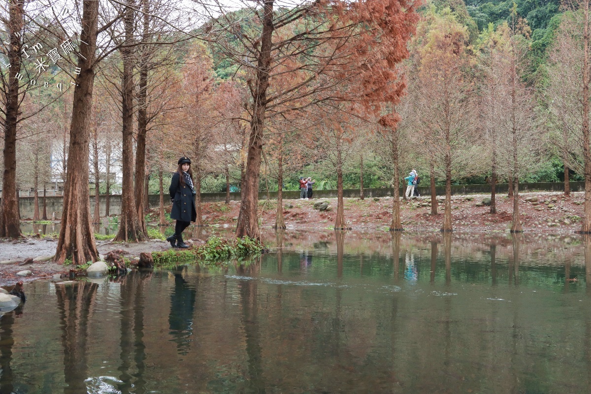 月眉人工濕地落羽松大道｜水岸秘境、親子友善步道，怎麼拍都是絕美明信片！