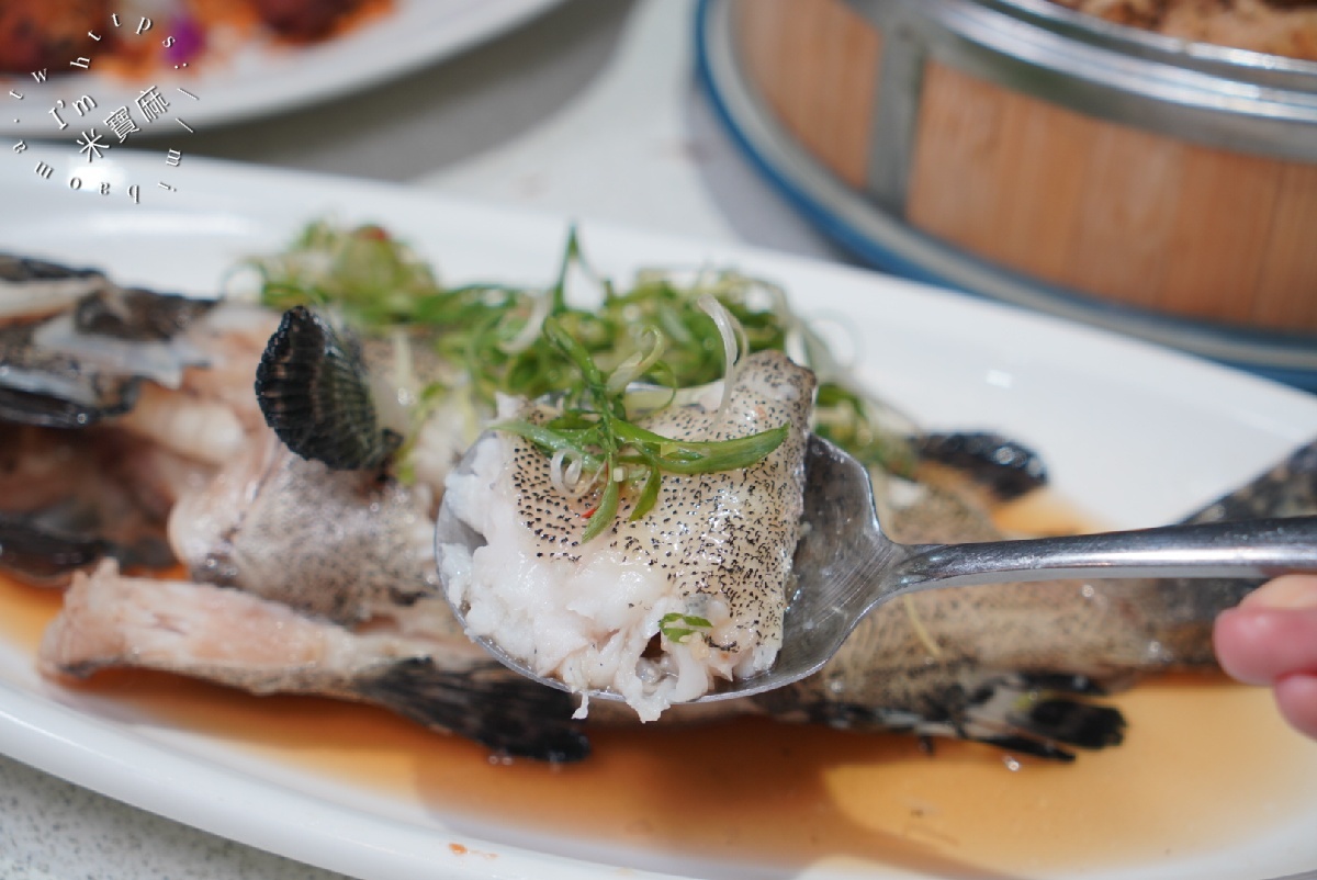 宸軒園粵菜海鮮 中興店|新店聚餐首選:道地粵菜海鮮、港點熱炒、KTV包廂一次滿足! 宸軒園粵菜海鮮 中興店|新店聚餐首選:道地粵菜海鮮、港點熱炒、KTV包廂一次滿足!