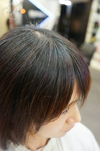 【造型。染】染髮就交給專業的Diky♥LUSSO HAIR Ⅱ店。過年前整頓千萬煩惱絲。三訪