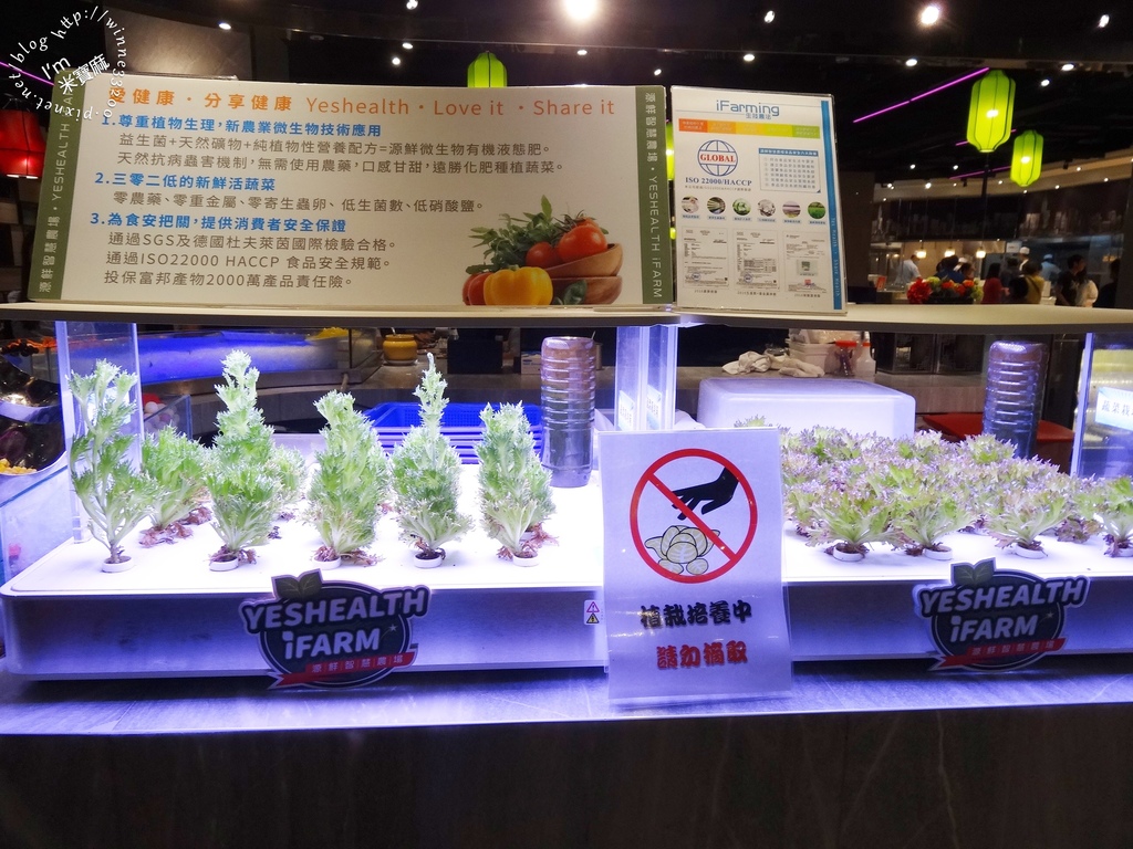 潮坊港式飲茶自助百匯_17