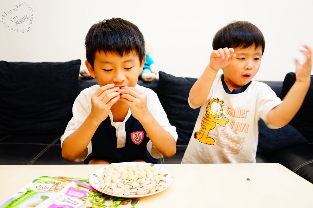 萬歲牌無調味開心果 夏威夷果 _19