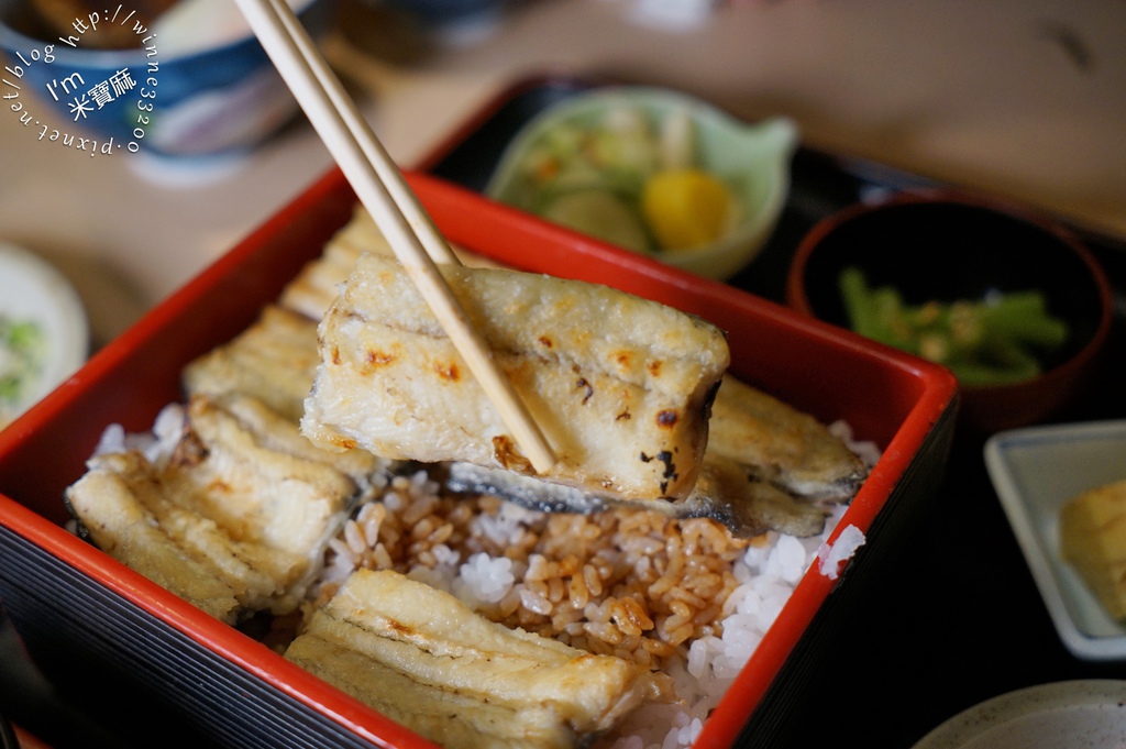 濱松屋┃中山鰻魚飯。水槽活鰻魚三吃經典對味，香烤原味鰻魚白燒也很好吃