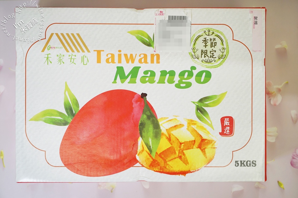 禾家安心芒果┃芒果禮盒推薦。芒果香甜多汁、果肉細緻。外銷日本市場的頂級水果
